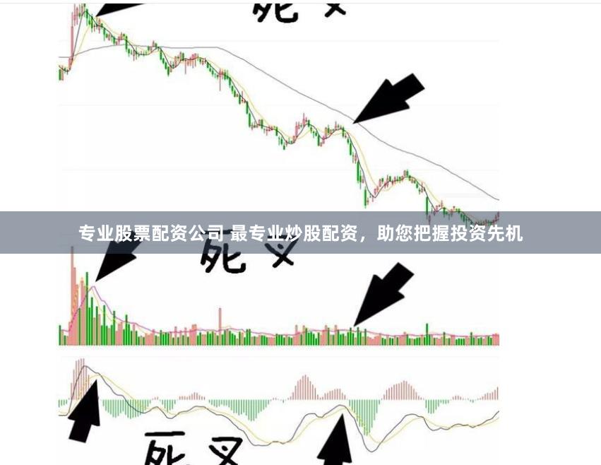 專業股票配資公司 最專業炒股配資，助您把握投資先機