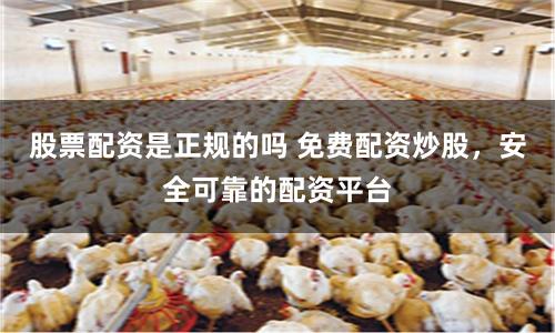 股票配資是正規的嗎 免費配資炒股,安全可靠的配資平臺